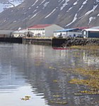 Kajak með Sigga