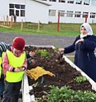 Leikskólabörn að taka upp kartöflur og radísur