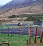 Þemadagar 2019- 