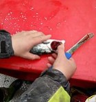 Vettvangsferð til Arctic Fish