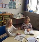 Pals æfingabúðingar