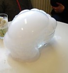 tilraunir í náttúrufræði