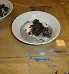 tilraunir í náttúrufræði