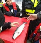 Vettvangsferð til Arctic Fish